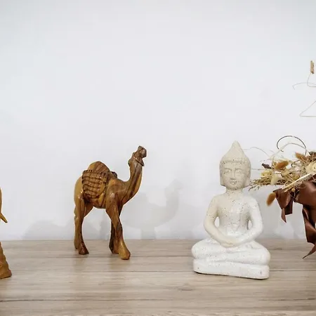 Utulny Druhy Domov V Srdci Ziliny